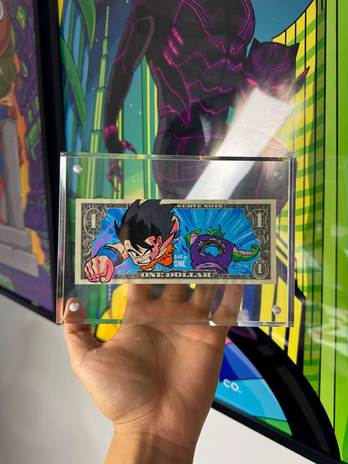 Limited “PICCOLO”