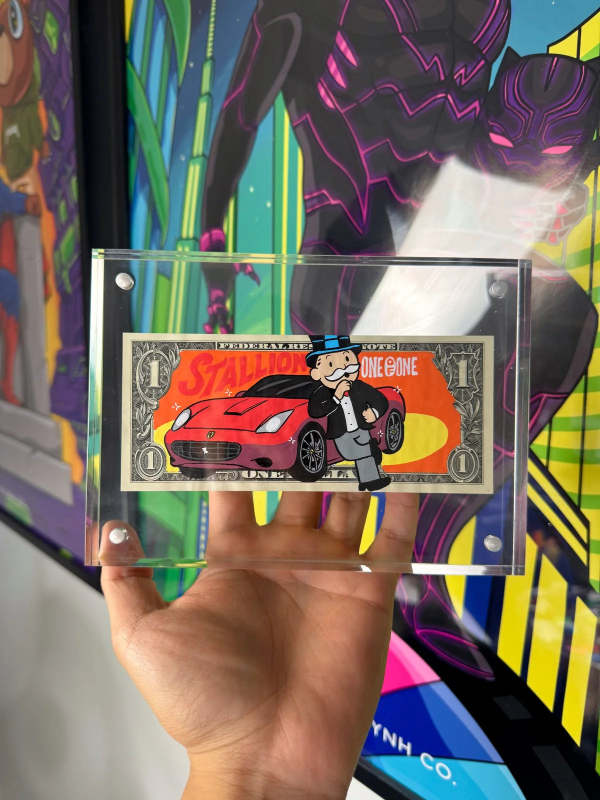 Limited “STALLION”